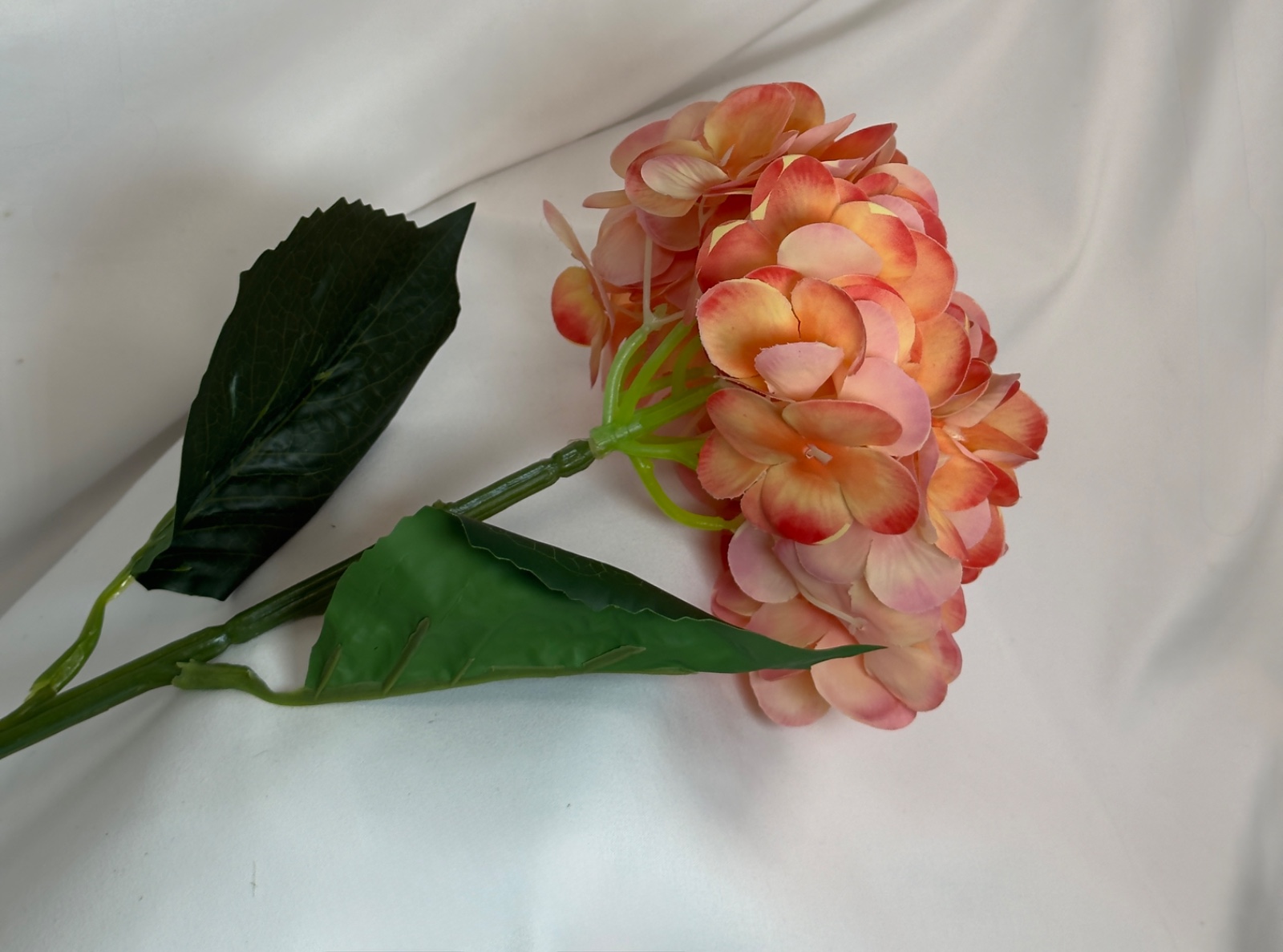 ხელოვნური გორტენზია ფლორა ჰაუსი — photo 3
